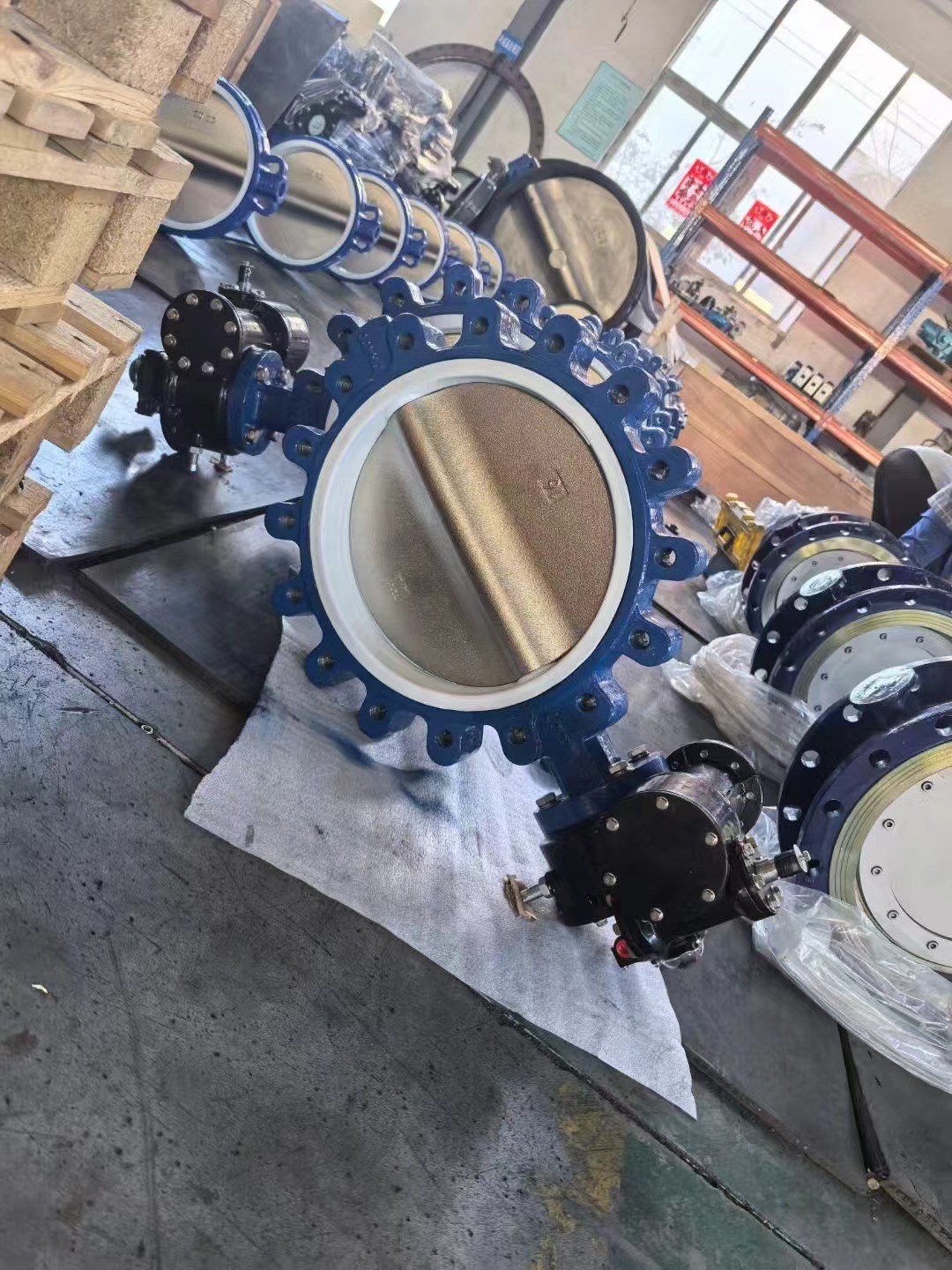 凸（tū）耳WWW.17C久久久嫩草結構特征