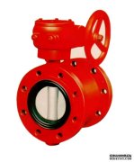 雙法蘭WWW.17C久久久嫩草適用範圍和性能特點描